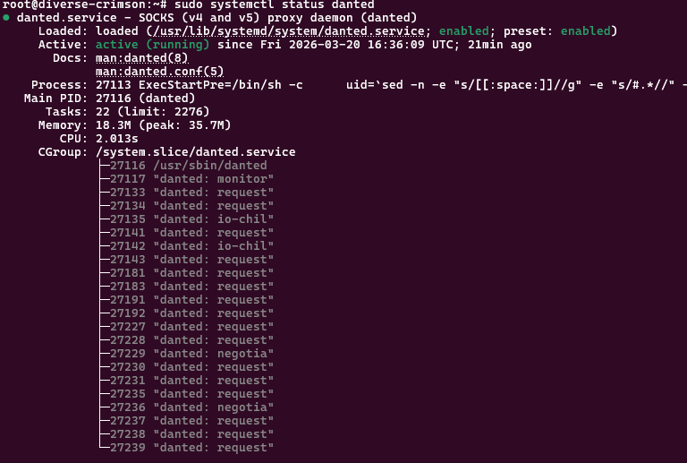 Настройка socks5 proxy-сервера на ubuntu - danted