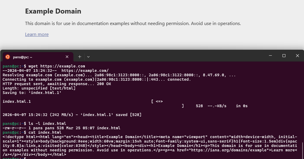 wget скачать через url